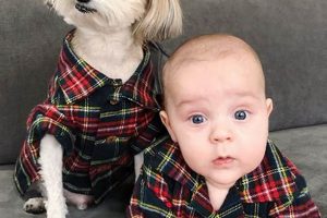 Adorable Matching Dog and Baby Outfits: Cute & Safe! | Baby Care 101: Essential Tips for Happy, Healthy Babies