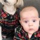 Adorable Matching Dog and Baby Outfits: Cute & Safe! | Baby Care 101: Essential Tips for Happy, Healthy Babies