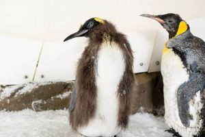 Making Baby Pesto: Recipes & Safety for Babies | Baby Care 101: Essential Tips for Happy, Healthy Babies