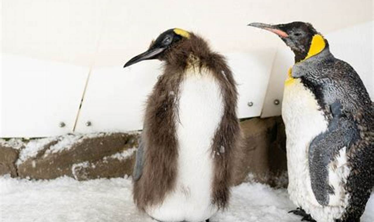 Making Baby Pesto: Recipes & Safety for Babies Baby Care 101: Essential Tips for Happy, Healthy Babies Making Baby Pesto: Recipes & Safety for Babies | Baby Care 101: Essential Tips for Happy, Healthy Babies