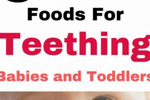 Best Teething Food for Babies: Recipes & Safety Tips | Baby Care 101: Essential Tips for Happy, Healthy Babies