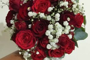 Why Red Roses with Baby's Breath Bloom With Love & Beauty | Baby Care 101: Essential Tips for Happy, Healthy Babies
