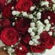 Why Red Roses with Baby's Breath Bloom With Love & Beauty | Baby Care 101: Essential Tips for Happy, Healthy Babies