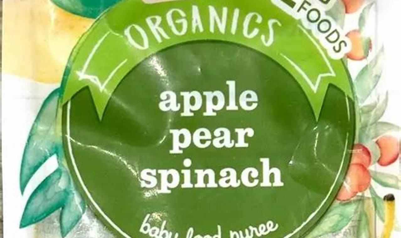 Is Little Journey Baby Food Toxic? Safety Concerns Explored | Baby Care 101: Essential Tips for Happy, Healthy Babies