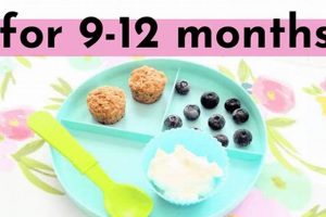Easy Baby Recipes 9-12 Months: Healthy & Delicious! | Baby Care 101: Essential Tips for Happy, Healthy Babies