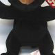 Guide to Blackie Beanie Baby Values &amp; Collecting Tips | Baby Care 101: Essential Tips for Happy, Healthy Babies