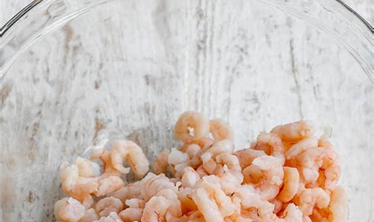 Tiny Baby Shrimp: Care & Facts for You | Baby Care 101: Essential Tips for Happy, Healthy Babies