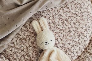 Best Baby's Comfort Blanket Guide: Softness & Security Tips | Baby Care 101: Essential Tips for Happy, Healthy Babies