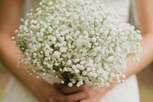 Dreamy Baby's Breath Bridal Bouquet Ideas + Care | Baby Care 101: Essential Tips for Happy, Healthy Babies
