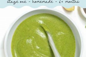 Broccoli Puree Baby: Healthy First Food Tips! | Baby Care 101: Essential Tips for Happy, Healthy Babies