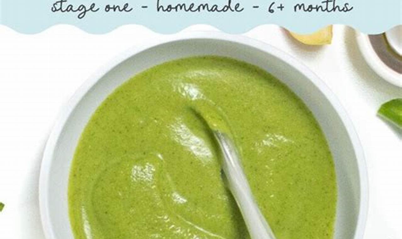 Broccoli Puree Baby: Healthy First Food Tips! Baby Care 101: Essential Tips for Happy, Healthy Babies Broccoli Puree Baby: Healthy First Food Tips! | Baby Care 101: Essential Tips for Happy, Healthy Babies