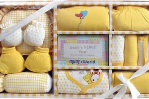 Best Newborn Baby Gift Set Ideas: Thoughtful &amp; Unique! | Baby Care 101: Essential Tips for Happy, Healthy Babies