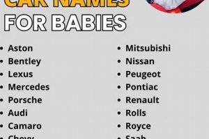 Auto-Inspired: Cool Car Related Baby Names [2024] | Baby Care 101: Essential Tips for Happy, Healthy Babies