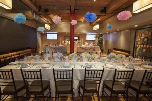 Find Baby Shower Venues Chicago | Best Spaces + Deals | Baby Care 101: Essential Tips for Happy, Healthy Babies