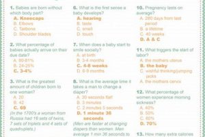 Fun Baby Shower Trivia: Questions, Answers & More! Baby Care 101: Essential Tips for Happy, Healthy Babies Fun Baby Shower Trivia: Questions, Answers & More! | Baby Care 101: Essential Tips for Happy, Healthy Babies