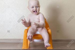 All About The Baby Nude: Art, Ethics & More | Baby Care 101: Essential Tips for Happy, Healthy Babies