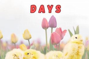 Tiny Beginnings: Exploring Baby Animal Days & Beyond Baby Care 101: Essential Tips for Happy, Healthy Babies Tiny Beginnings: Exploring Baby Animal Days & Beyond | Baby Care 101: Essential Tips for Happy, Healthy Babies