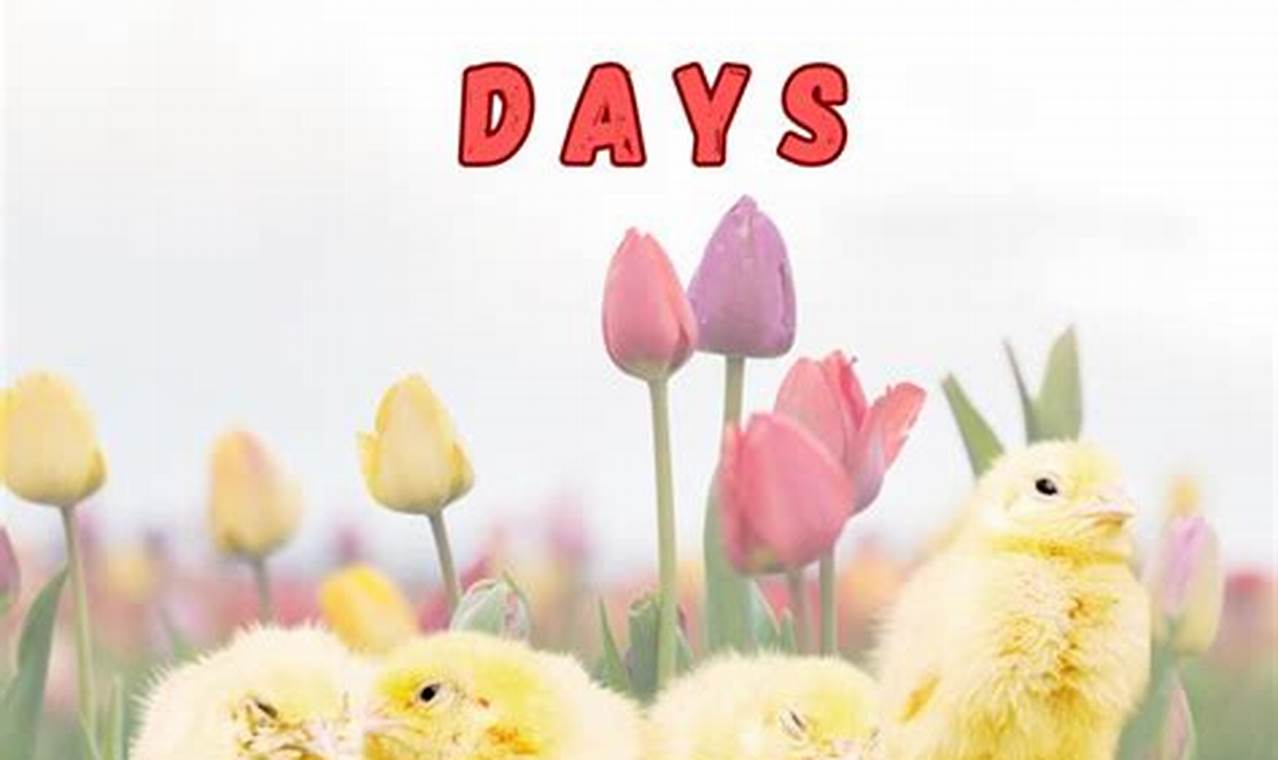 Tiny Beginnings: Exploring Baby Animal Days & Beyond | Baby Care 101: Essential Tips for Happy, Healthy Babies