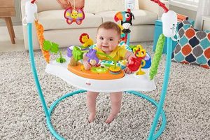Baby's Bouncer: Are Baby Bouncers Safe? Safety Guide | Baby Care 101: Essential Tips for Happy, Healthy Babies