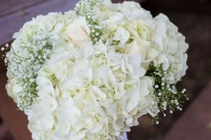 Hydrangea & Baby's Breath: A Breath Of Fresh Air Ideas | Baby Care 101: Essential Tips for Happy, Healthy Babies