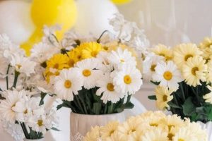 Chic Daisy Baby Shower: Blooms & Bliss! | Baby Care 101: Essential Tips for Happy, Healthy Babies