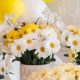 Chic Daisy Baby Shower: Blooms & Bliss! | Baby Care 101: Essential Tips for Happy, Healthy Babies