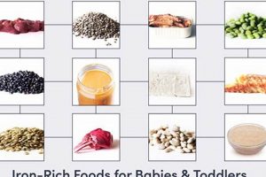 Top Picks: Best Iron Rich Foods for Baby's Growth | Baby Care 101: Essential Tips for Happy, Healthy Babies