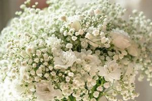Shop Beautiful Baby Breath Bouquets Online + Care Tips | Baby Care 101: Essential Tips for Happy, Healthy Babies