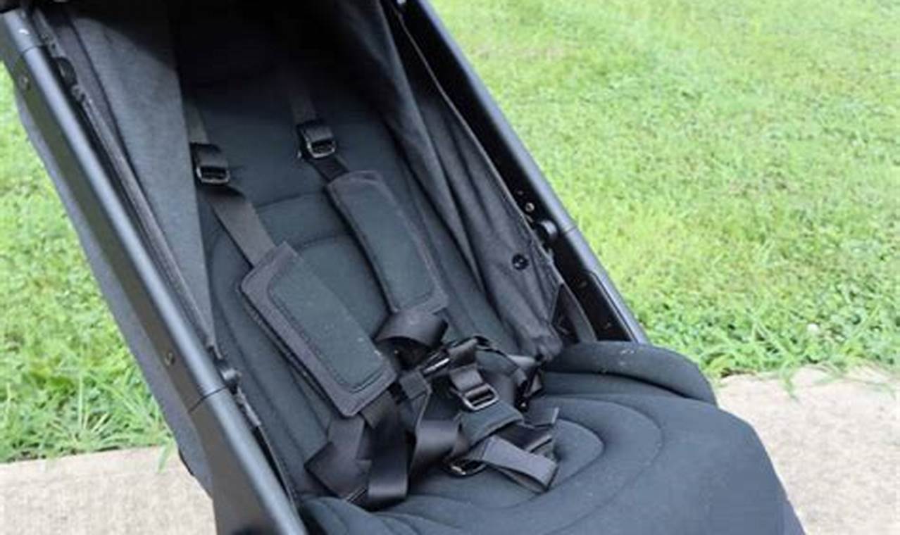 Best Ergo Baby Stroller: Comfort & Safety First! Baby Care 101: Essential Tips for Happy, Healthy Babies Best Ergo Baby Stroller: Comfort & Safety First! | Baby Care 101: Essential Tips for Happy, Healthy Babies