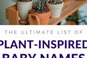 Unique Plant Baby Names + Meanings for Your Little Sprout Baby Care 101: Essential Tips for Happy, Healthy Babies Unique Plant Baby Names + Meanings for Your Little Sprout | Baby Care 101: Essential Tips for Happy, Healthy Babies