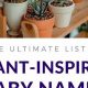 Unique Plant Baby Names + Meanings for Your Little Sprout | Baby Care 101: Essential Tips for Happy, Healthy Babies