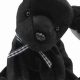 Rare Luke Beanie Baby: Value & Collector's Guide | Baby Care 101: Essential Tips for Happy, Healthy Babies