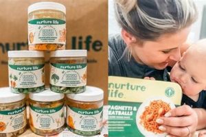 Honest Nurture Life Baby Food Reviews: Is It Worth It? Baby Care 101: Essential Tips for Happy, Healthy Babies Honest Nurture Life Baby Food Reviews: Is It Worth It? | Baby Care 101: Essential Tips for Happy, Healthy Babies