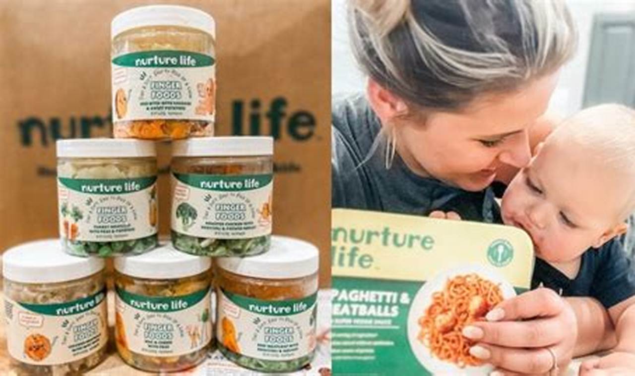 Honest Nurture Life Baby Food Reviews: Is It Worth It? Baby Care 101: Essential Tips for Happy, Healthy Babies Honest Nurture Life Baby Food Reviews: Is It Worth It? | Baby Care 101: Essential Tips for Happy, Healthy Babies