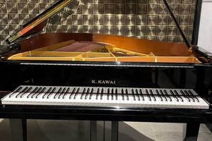 Best Baby Grand: Kawai Piano for Budding Musicians | Baby Care 101: Essential Tips for Happy, Healthy Babies