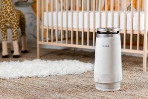 Best Air Purifier for Baby: Safe & Healthy Air Baby Care 101: Essential Tips for Happy, Healthy Babies Best Air Purifier for Baby: Safe & Healthy Air | Baby Care 101: Essential Tips for Happy, Healthy Babies