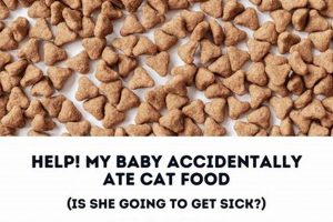 Baby Ate Cat Food?! Safety Tips + What to Do | Baby Care 101: Essential Tips for Happy, Healthy Babies