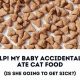 Baby Ate Cat Food?! Safety Tips + What to Do | Baby Care 101: Essential Tips for Happy, Healthy Babies