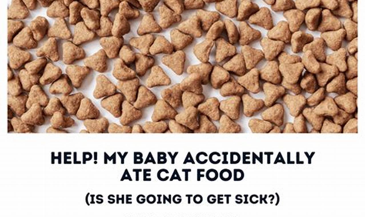 Baby Ate Cat Food?! Safety Tips + What to Do Baby Care 101: Essential Tips for Happy, Healthy Babies Baby Ate Cat Food?! Safety Tips + What to Do | Baby Care 101: Essential Tips for Happy, Healthy Babies
