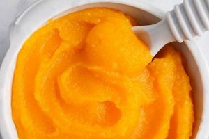 Butternut Squash Puree for Baby: A Nutritious Start | Baby Care 101: Essential Tips for Happy, Healthy Babies