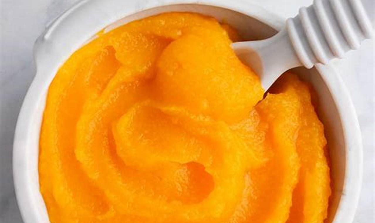 Butternut Squash Puree for Baby: A Nutritious Start Baby Care 101: Essential Tips for Happy, Healthy Babies Butternut Squash Puree for Baby: A Nutritious Start | Baby Care 101: Essential Tips for Happy, Healthy Babies