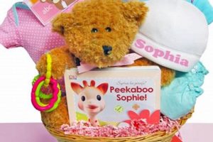 Find Truly Unique Baby Girl Gifts Ideas [Year]! | Baby Care 101: Essential Tips for Happy, Healthy Babies