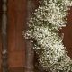 DIY Baby's Breath Garland: Decor & Wedding Ideas | Baby Care 101: Essential Tips for Happy, Healthy Babies