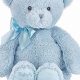 Best Baby's First Teddy Bear: Safe, Cuddly, & More | Baby Care 101: Essential Tips for Happy, Healthy Babies