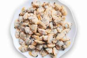 Tiny Treasures: Raising Healthy Baby Clams Baby Care 101: Essential Tips for Happy, Healthy Babies Tiny Treasures: Raising Healthy Baby Clams | Baby Care 101: Essential Tips for Happy, Healthy Babies