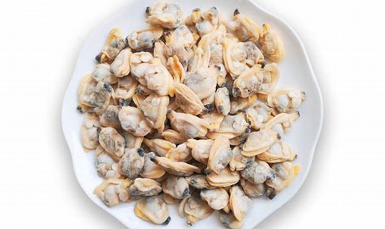 Tiny Treasures: Raising Healthy Baby Clams Baby Care 101: Essential Tips for Happy, Healthy Babies Tiny Treasures: Raising Healthy Baby Clams | Baby Care 101: Essential Tips for Happy, Healthy Babies