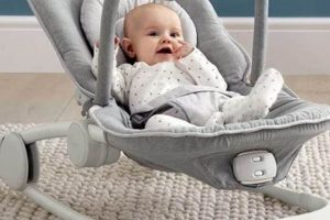Top Rated Best Baby Bouncer: Soothe Your Little One Baby Care 101: Essential Tips for Happy, Healthy Babies Top Rated Best Baby Bouncer: Soothe Your Little One | Baby Care 101: Essential Tips for Happy, Healthy Babies