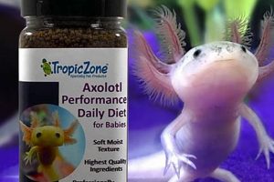 Best Baby Axolotl Food Guide: What, How & When Baby Care 101: Essential Tips for Happy, Healthy Babies Best Baby Axolotl Food Guide: What, How & When | Baby Care 101: Essential Tips for Happy, Healthy Babies