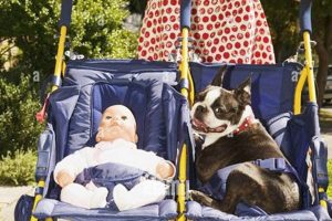Is Babying a Dog Bad? Risks & Healthy Love Tips Baby Care 101: Essential Tips for Happy, Healthy Babies Is Babying a Dog Bad? Risks & Healthy Love Tips | Baby Care 101: Essential Tips for Happy, Healthy Babies