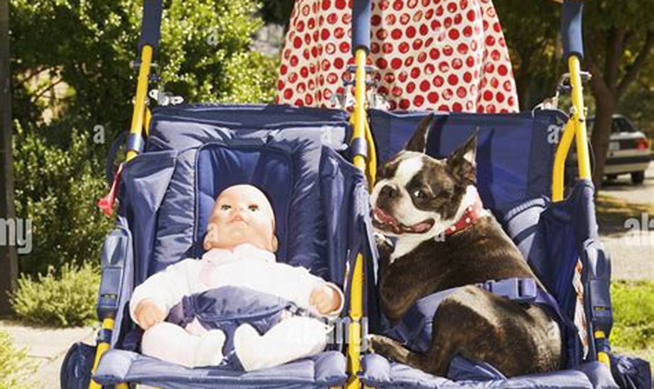 Is Babying a Dog Bad? Risks & Healthy Love Tips Baby Care 101: Essential Tips for Happy, Healthy Babies Is Babying a Dog Bad? Risks & Healthy Love Tips | Baby Care 101: Essential Tips for Happy, Healthy Babies